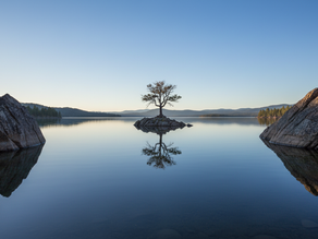 Steps to Trauma Recovery Self-Mastery