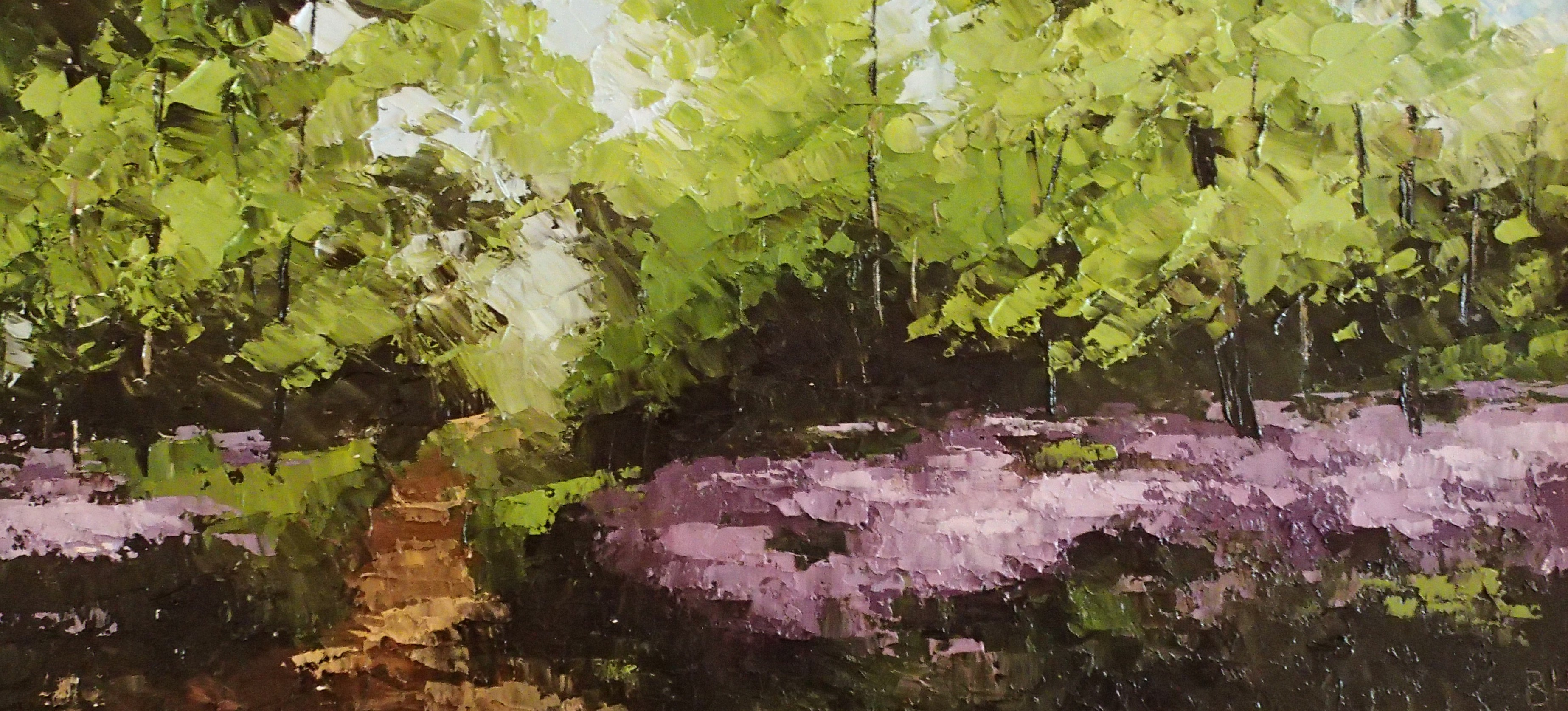 Bluebells with path