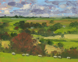 Sheep grazing near Compton Valence 547