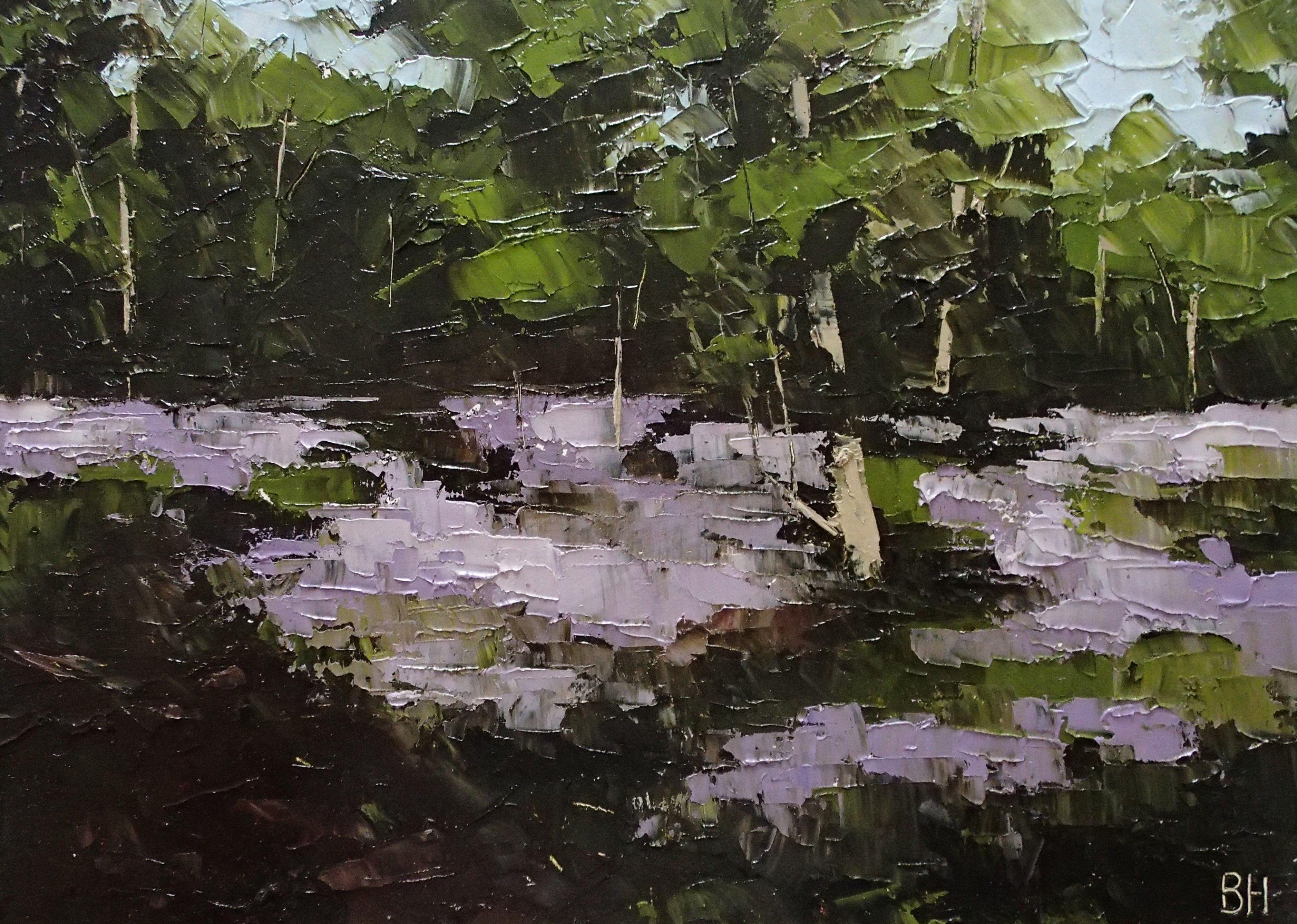 Bluebells, strong light