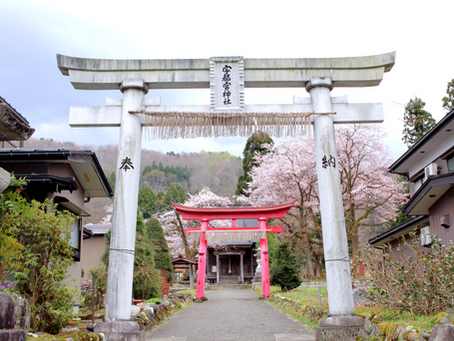 Japan Fall Harvest 2022 Announcement