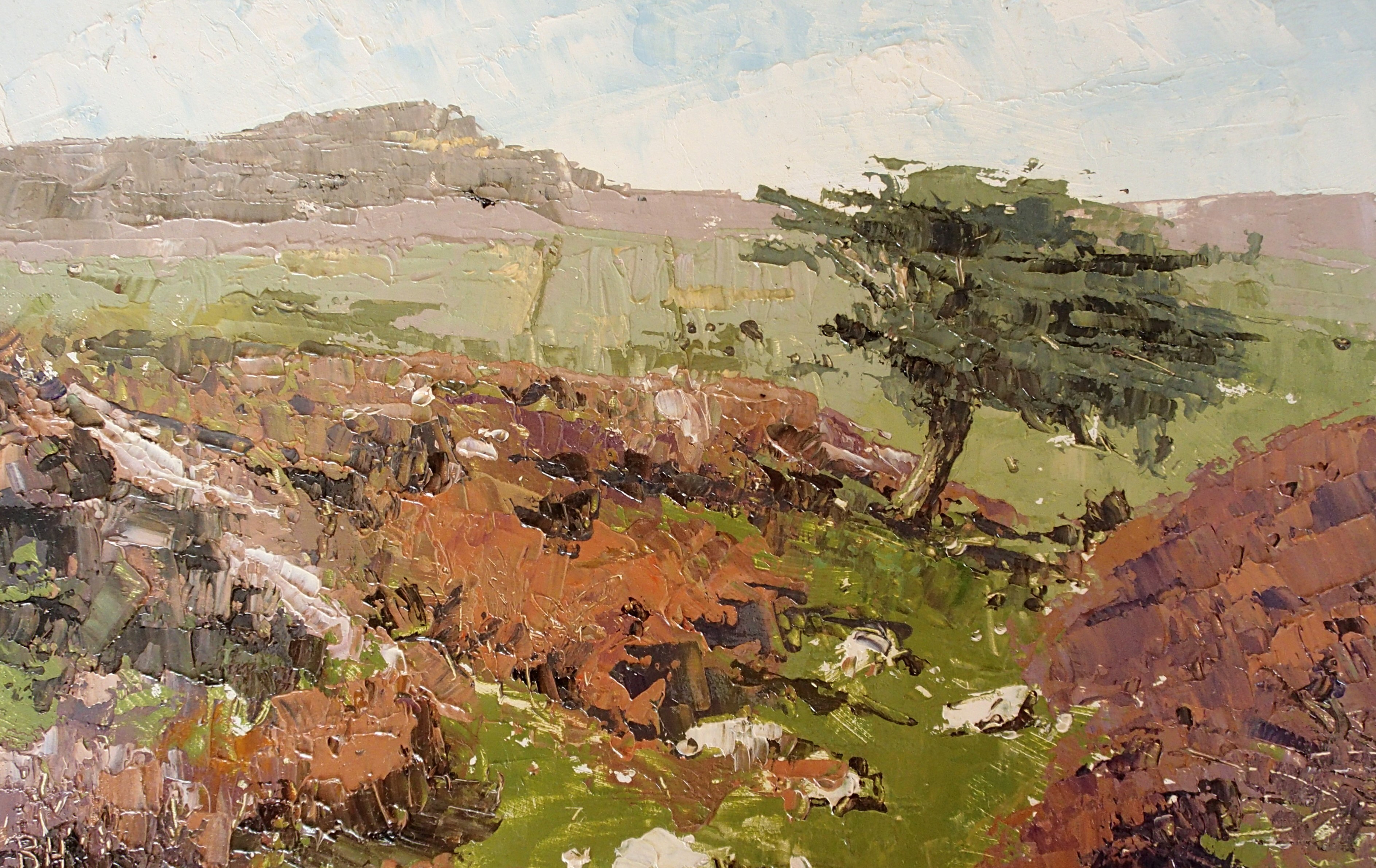 Juniper and Bracken