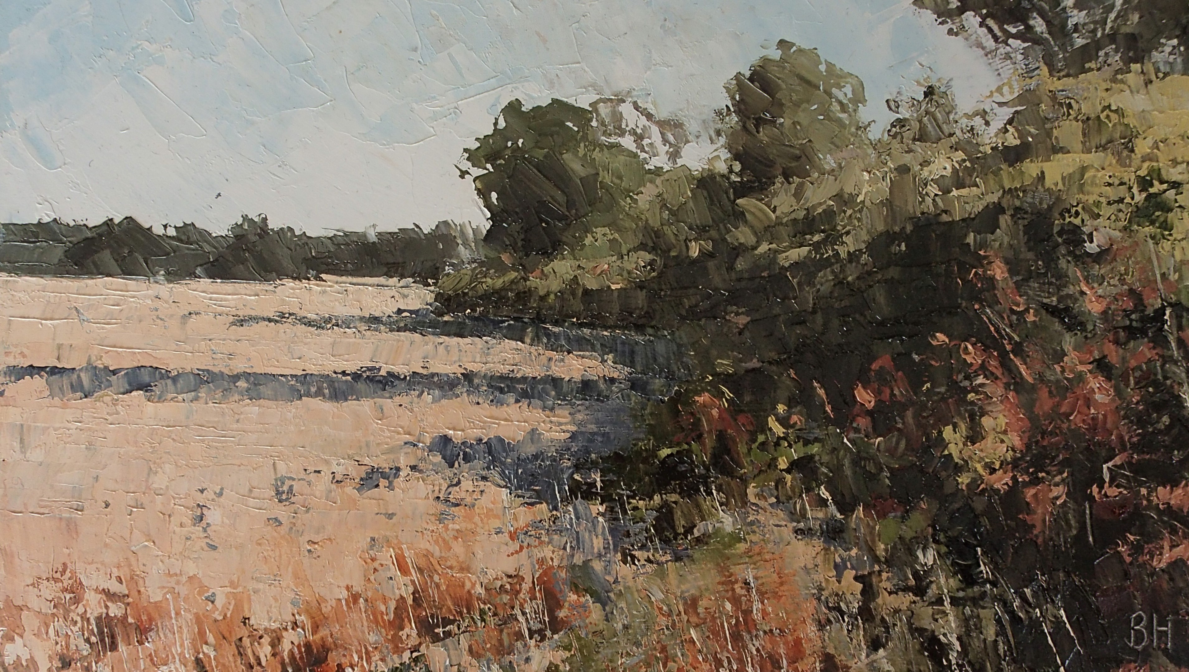 Summer Hedgerow