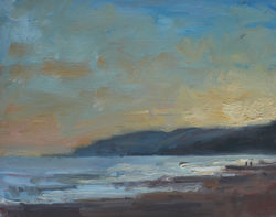 On the beach at Charmouth 619