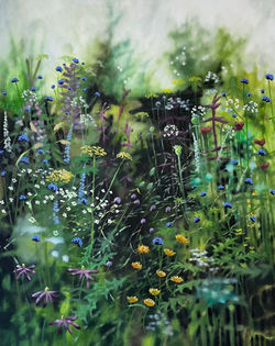 Return to River Cottage