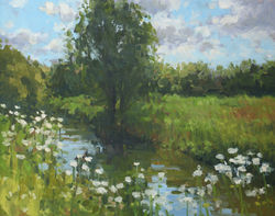 Cow parsley by the river 627