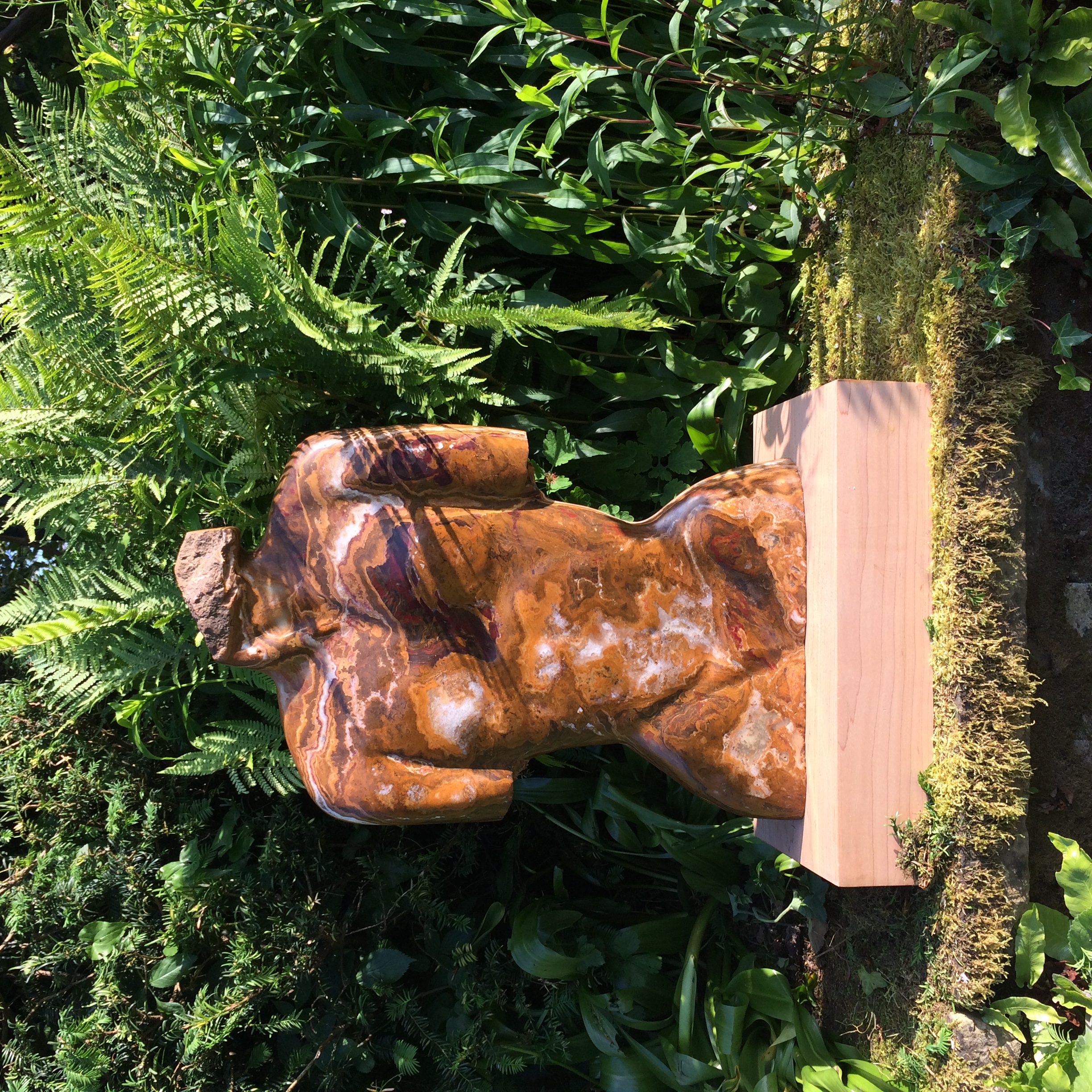 Amazon (in situ at Chenies Manor)