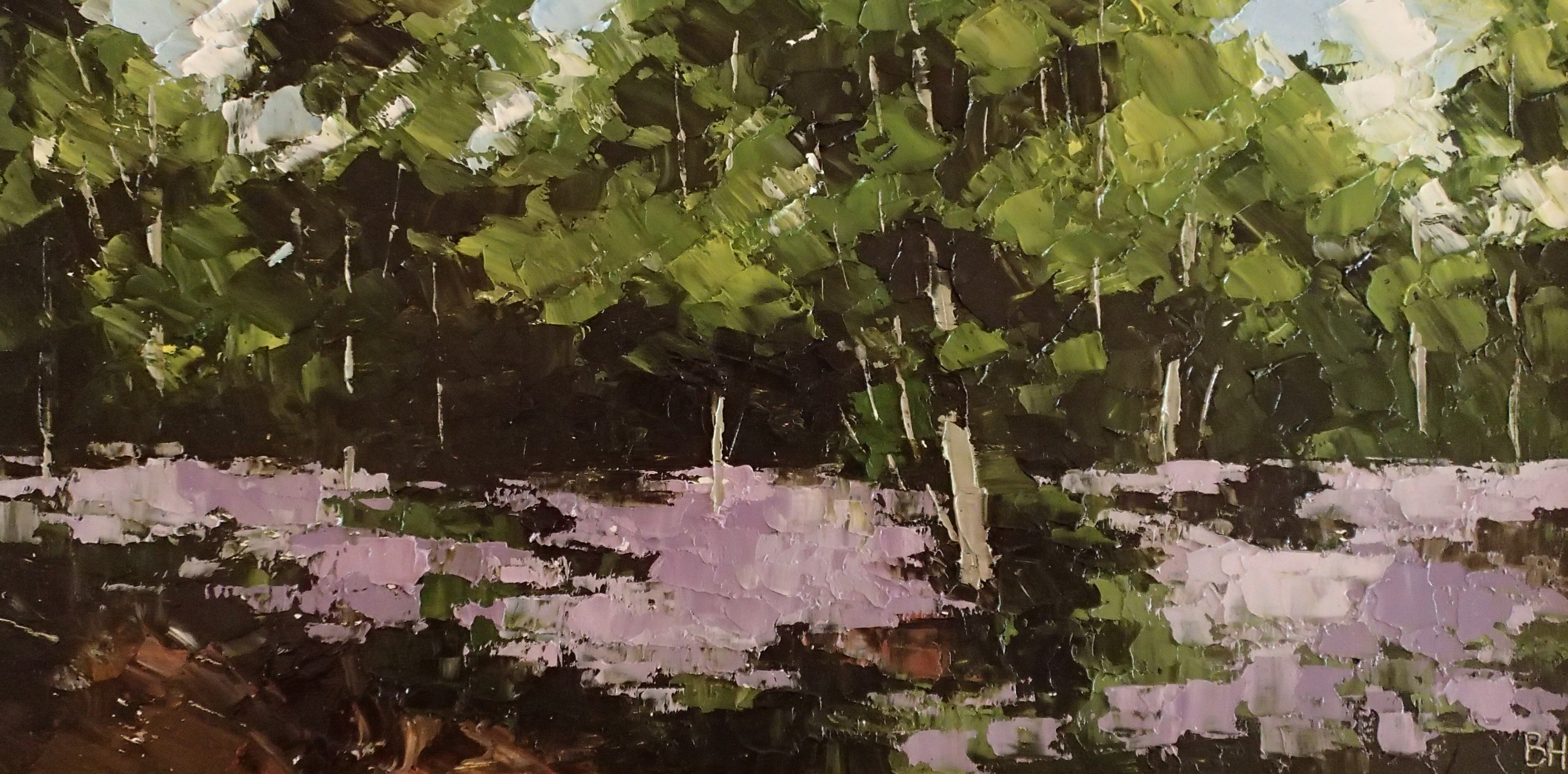 Bluebells, Dark Shadows