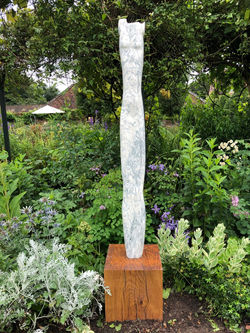 Sentinel I