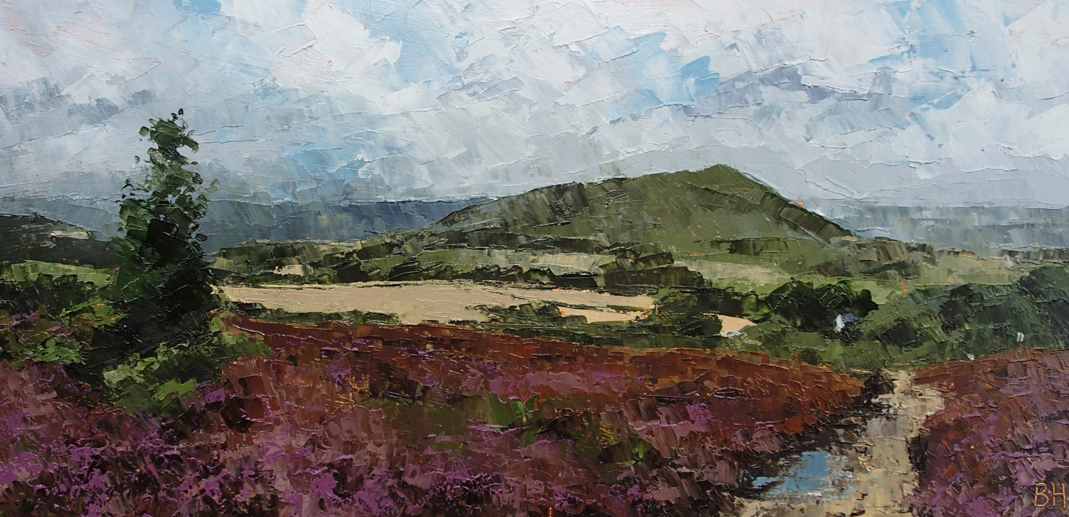 After rain, Shropshire