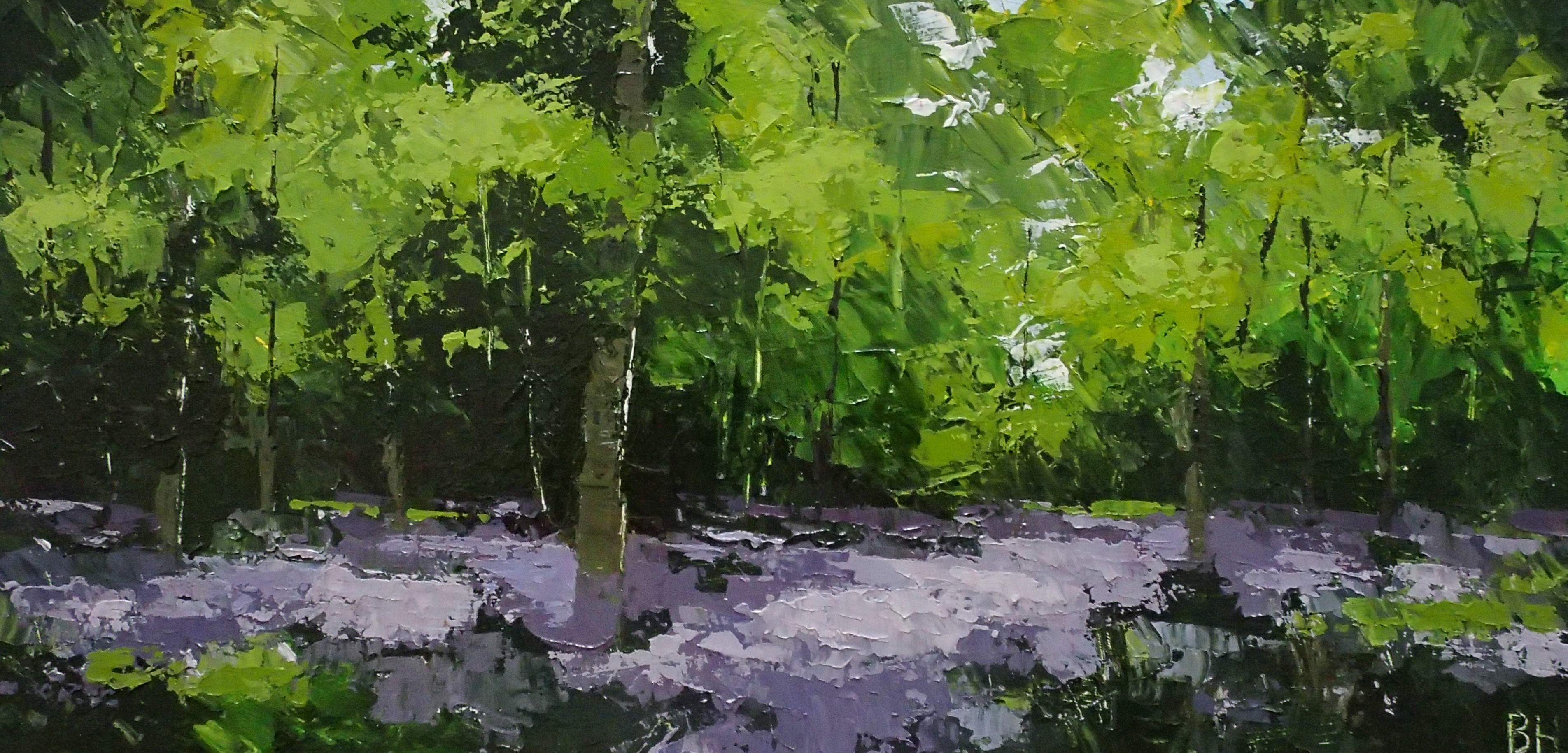 Bluebells, Frith Wood