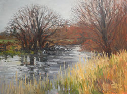 Flooded river 629