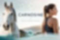 37332cae-8c36-48c6-9d93-6e525a30a238.png