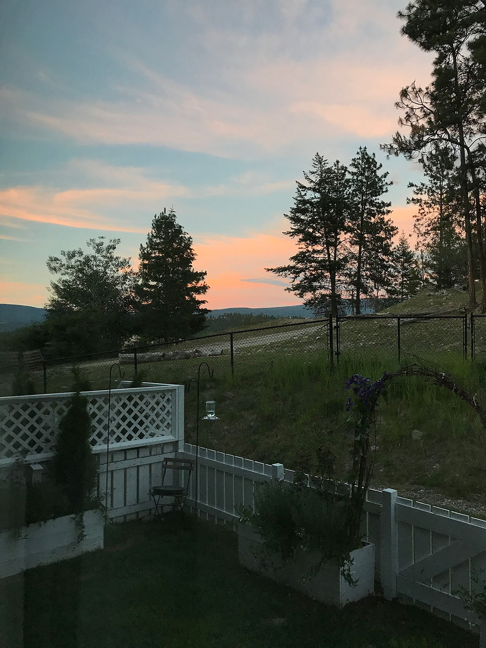 Kelowna Dog Friendly Accommodations