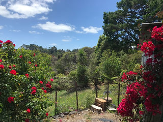 garden website.jpg