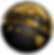 gold foil logo.png