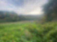 IMG_4865.jpeg