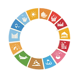 SDG circle 