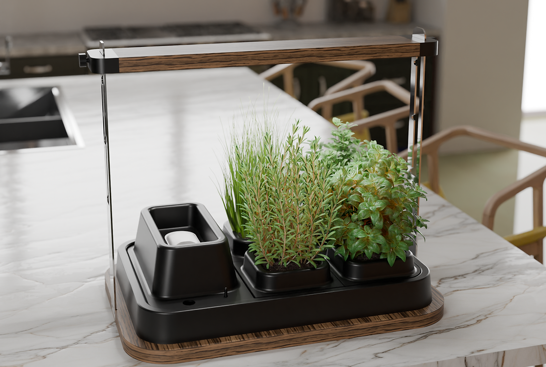 Билки във вътрешен двор, с подсветка, на кухненски плот в светла стая. MY KOREN