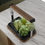 Thumbnail: Indoor herb garden with plants and wooden frame on marble counter.