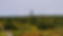PXL_20240616_092253090-EDIT_edited.jpg