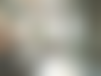 Exploring Bathroom Design Choices for Your Dream Remodel