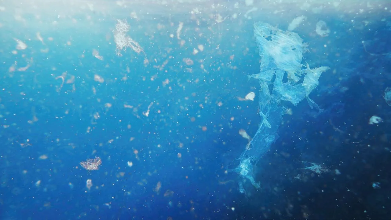 GettyImages-Microplastic-1362554361.webp