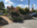 IMG_5450.jpeg