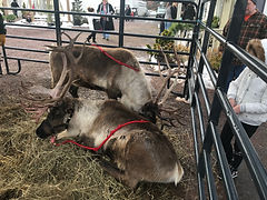 IMG_1284.jpeg