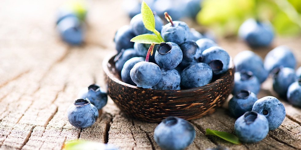 Blueberries & Bluegrass Festival