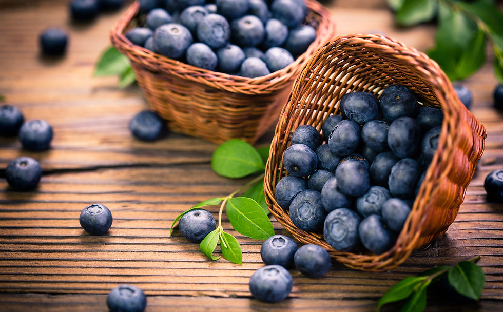 AdobeStock_160585355.jpeg