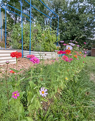 Wildflower Bed Install