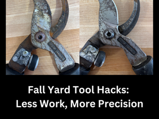 Fall Yard Tool Hacks: Less Work, More Precision
