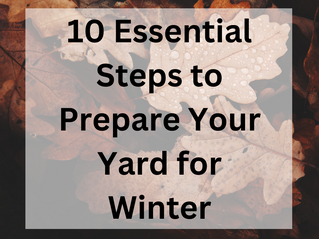 10 Essential Steps to Prepare Your Yard for Winter