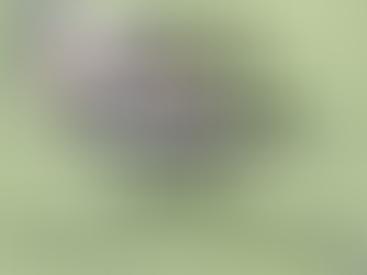 Lawnmower mowing grass with the caption, how to sharpen a lawnmower blade and how often you should do it