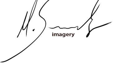 alairasimagery.png