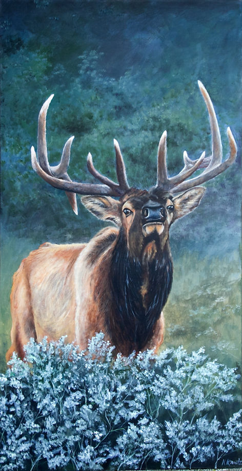 The Boys- Elk.jpg