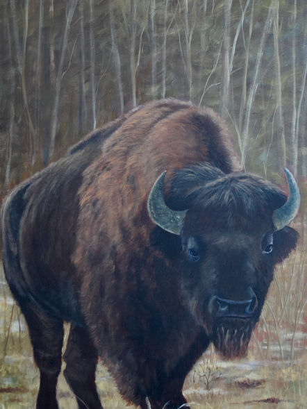 Kathy Kautz Art- The Boys Series- Bison- Painting- Acrylic
