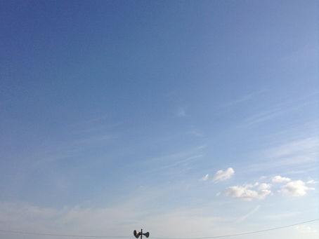 「第1回 青い車系ロック」