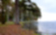 Lake shore