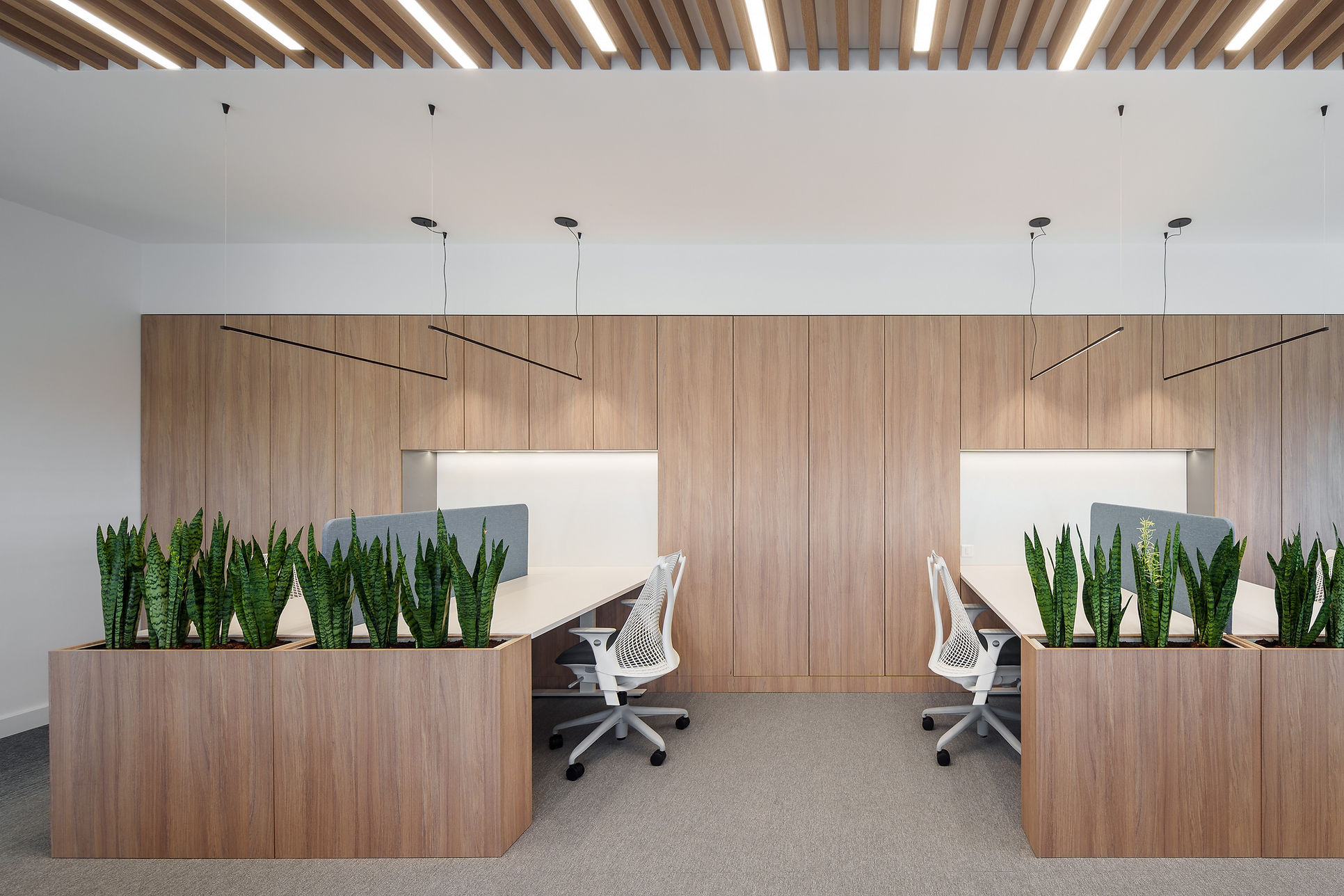 KN ofis Ugrinovci - obradjeno - full res - 02.jpg
