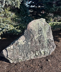 stone cleaning