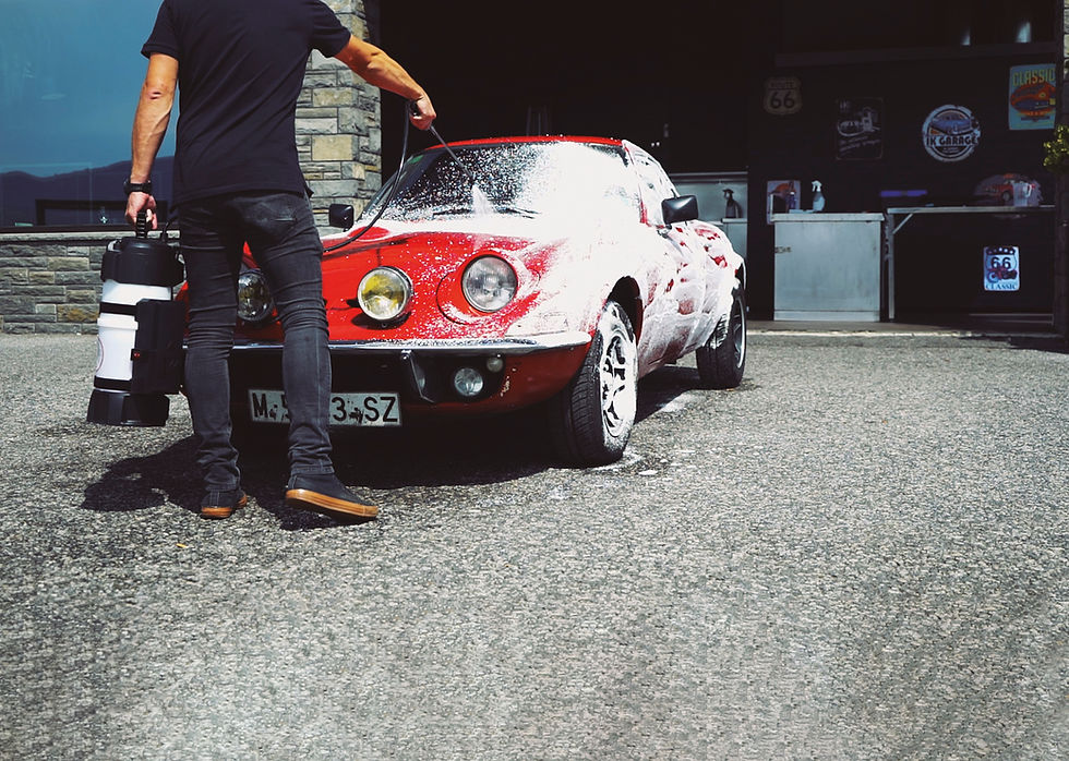 Miniature : IK foam pro 12 pulvérisateur mousse électrique