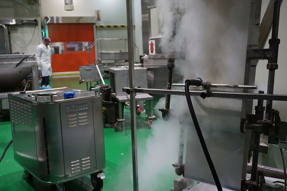 Miniature : Optima Steamer SE II