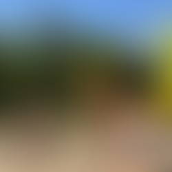 beach volley playing