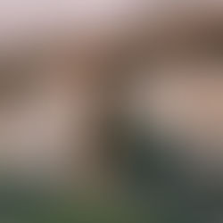 UMaine Reveals First 3D-Printed House of 100% Bio-Based Materials