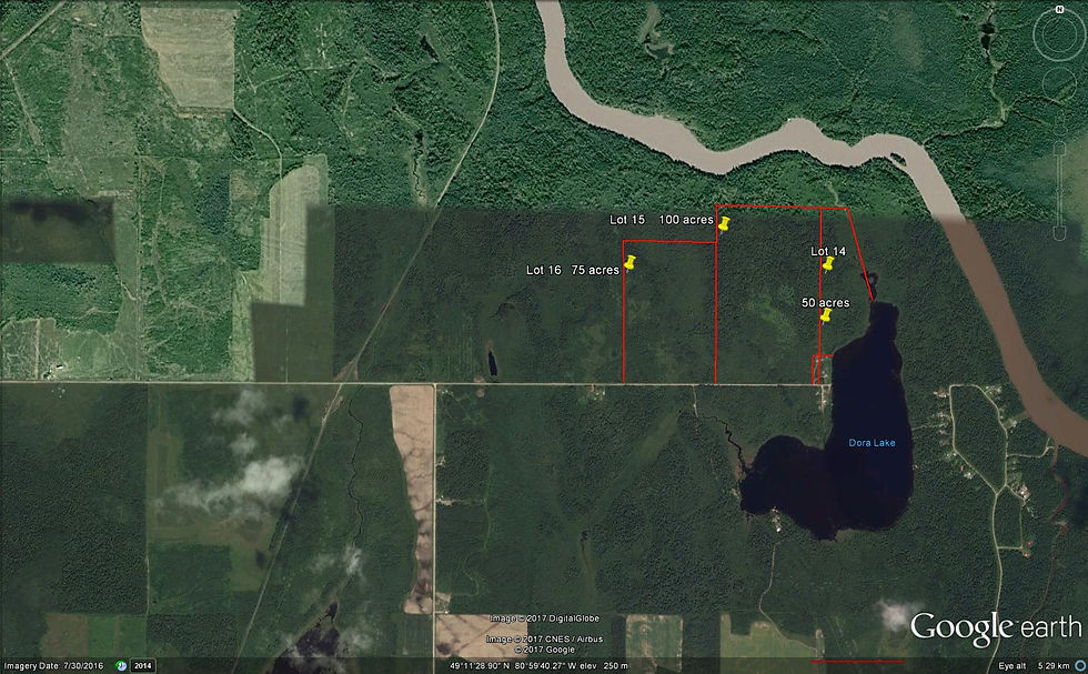 Doralakegoogle225acres