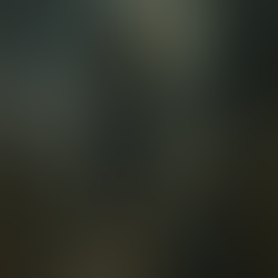 Quando o ego quer saber antes, mas a alma ainda não falou