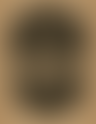 Série simbólica da totalidade psíquica