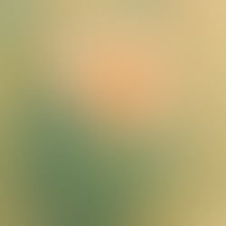 A generosidade do inconsciente: projeção como desabrochar da alma